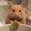 desmaspi