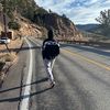 isaiahgarcia_0