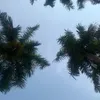 phungxuanphonq