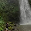 paulinakobla