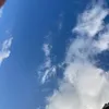 e______237