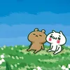 suju_ryo