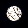 miss.luna18