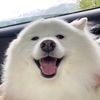 themasterpv