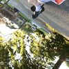 lmk329