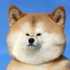 omusubi.5656