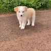 meoquytoc10