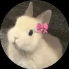 jolie898_