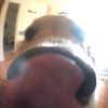 chasecrawleyy