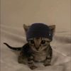captainweeny