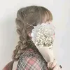 a_ari__