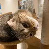 sh_tiktok05