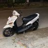 dikay61