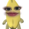 sasxx_