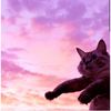 user12063112493