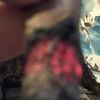 mollysperksleannpomeupp