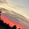 haven_leigh7