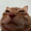 yuuuumichi