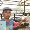 Ali Sembiring