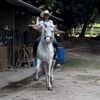 el_coloradito.19