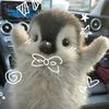 sonia_2113_