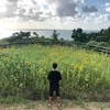 yuuuuuki_8
