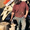 bluecollar.cowpoke_307