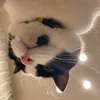 hatti_s