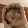 akiiichan_0810