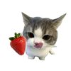 จ๋งหลงเจ๋งเหล๋ง