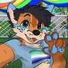 swifty_the_fox27