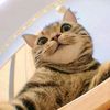 nabilluf