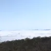 riyo0809