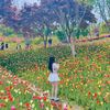 nguyen_chau_ngoc_06