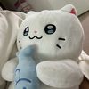김고양이