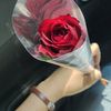yuli_endra