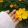 sanso0219