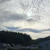 nnkn3161015