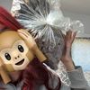 libradxtdoll