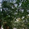 anjji22