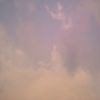 fauzia_773