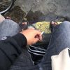 gcn_anvbis