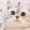 🫧Nhỏ Xíu rì viu🫧