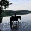 _qniarka