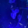 _nobi923