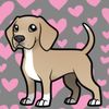kailee_the_dog