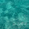 aguilardlm