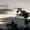 hoangvu_456