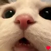 mckkl3