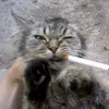 steveeeeeeeen_